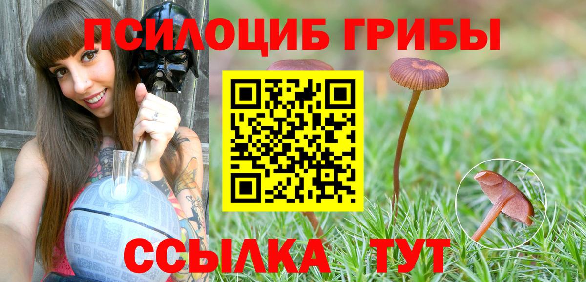 Россия  Галлюциногенные грибы прущие грибы  Псилоцибиновые грибы MAGIC MUSHROOMS  Вход с VPN 