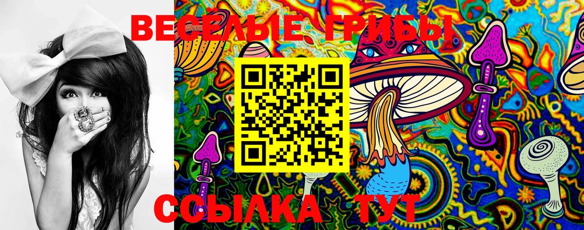 Галлюциногенные грибы Psilocybe Россия